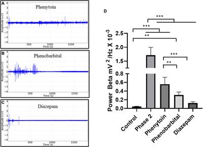 Rosmarinus officinalis essential oil triggers depression followed by CNS excitability in Wistar rats